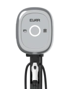 ACE PRO PLUS
